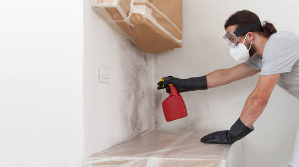 Professional Bathroom Mold Removal technician working in Naples, FL