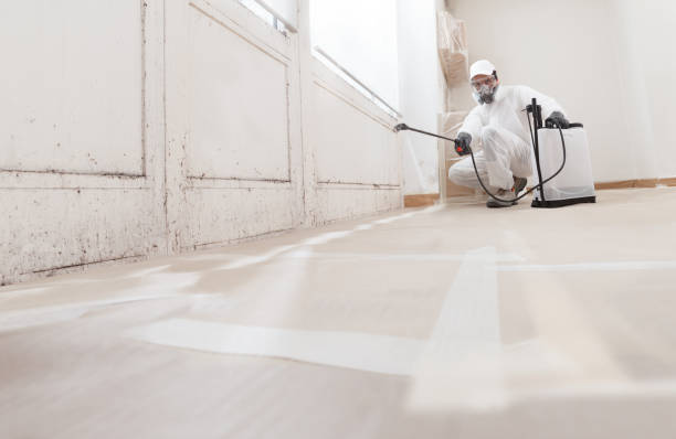 24/7 Emergency Bathroom Mold Removal experts in Naples, FL